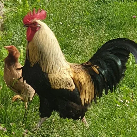 Σπίτι διακοπών Gli Orti Della Civera 